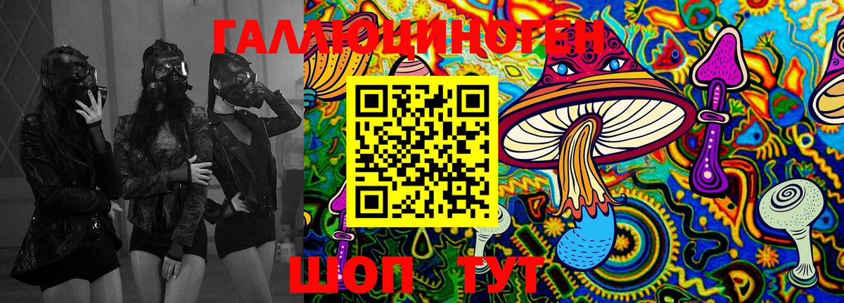 Псилоцибиновые грибы MAGIC MUSHROOMS  Галлюциногенные грибы MAGIC MUSHROOMS  где купить наркоту  Вход с VPN  Волхов 